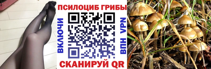 Галлюциногенные грибы Psilocybine cubensis Новая Усмань